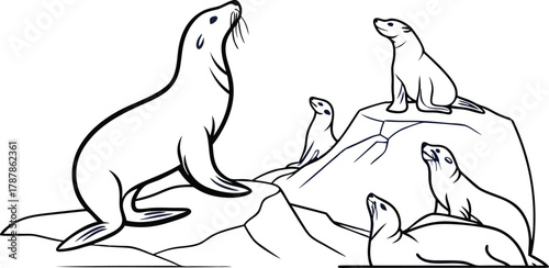 Captivating seals bask on rocky shores, a dynamic scene of marine wildlife thriving in their natural habitat, perfect for educational and conservation themes.