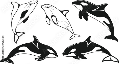 Dynamic orca whales and dolphins leaping through ocean waves, capturing marine life's power and grace with bold linework.