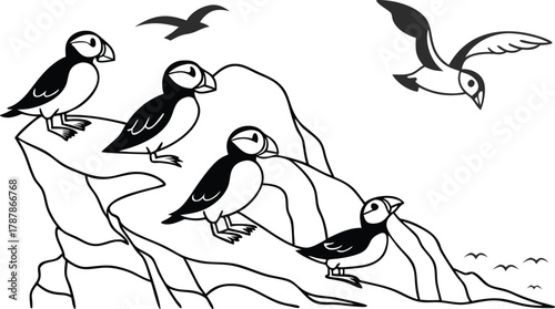 Charming puffins gather on rocky cliffs with seabirds soaring above, evoking coastal wildlife wonder and natural beauty
