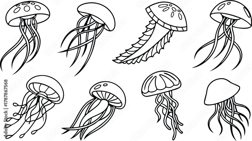 Obraz premium Elegant jellyfish illustrations capture ocean's graceful movement and delicate beauty for marine life designs and educational content