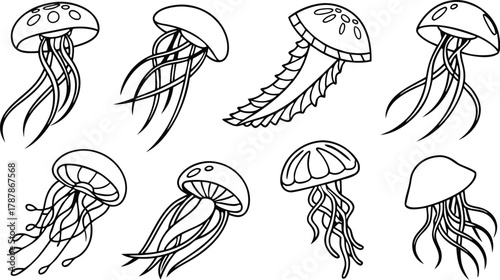 Elegant jellyfish illustrations capture ocean's graceful movement and delicate beauty for marine life designs and educational content