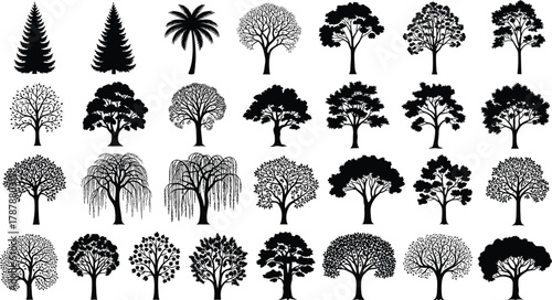 Tree silhouette collection, various tree shapes and species vector illustration, black and white nature design, botanical outline art, forest and landscape elements for decoration