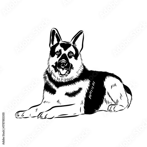 Eastern European shepherd, vector sketch