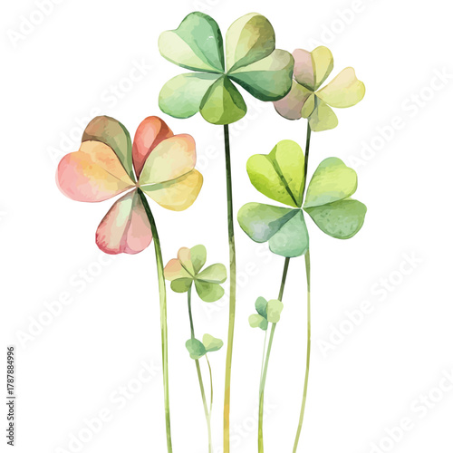 A hand-drawn simple illustration painting of a clover flower in soft watercolor style, featuring delicate brush strokes, isolated on a white background, artistic, painted design, EPS format