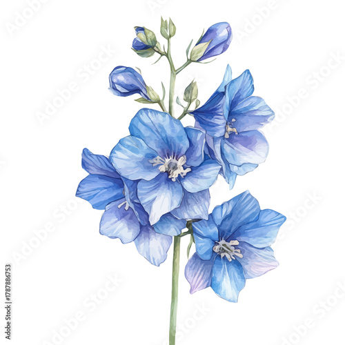 A simple hand-drawn illustration painting of a delphinium flower in soft watercolor style, artistic, painted design, EPS format, featuring delicate brush strokes, isolated on a white background