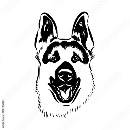 Eastern European shepherd, vector sketch
