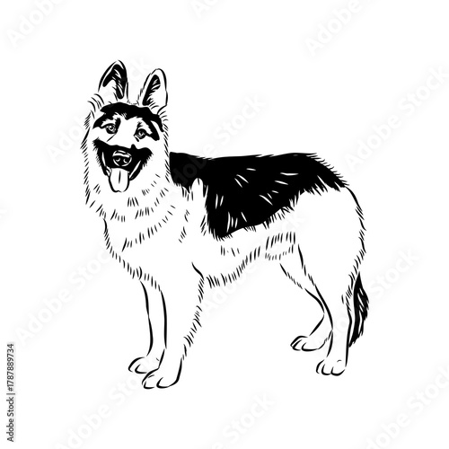 Eastern European shepherd, vector sketch