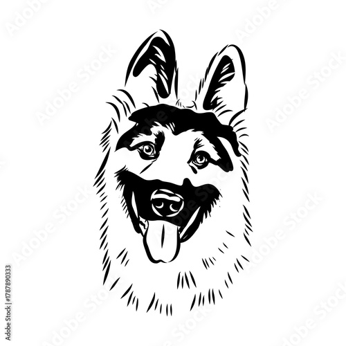 Eastern European shepherd, vector sketch