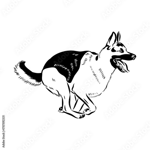 Eastern European shepherd, vector sketch