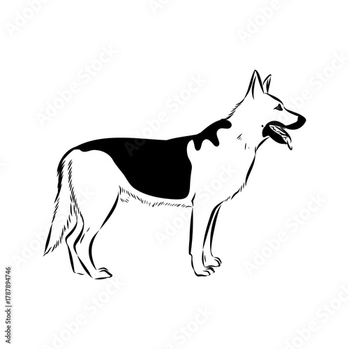 Eastern European shepherd, vector sketch