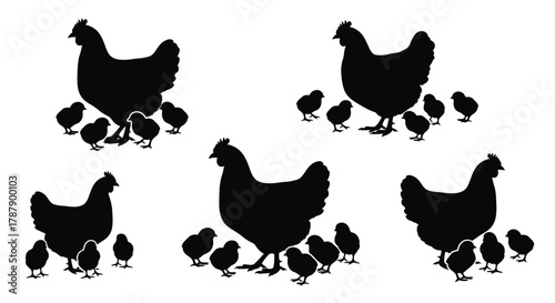 Black silhouettes of hens and chicks illustrate a farm animal scene