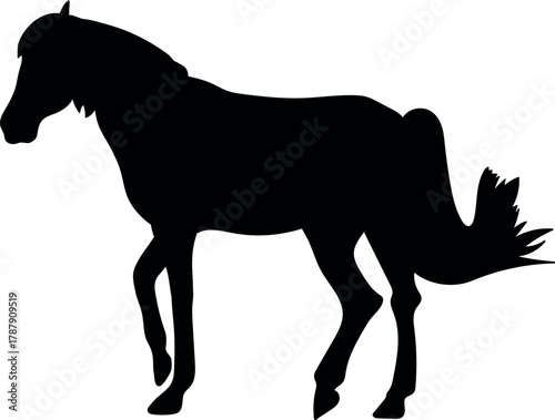 Black silhouette of horse isolated on white background