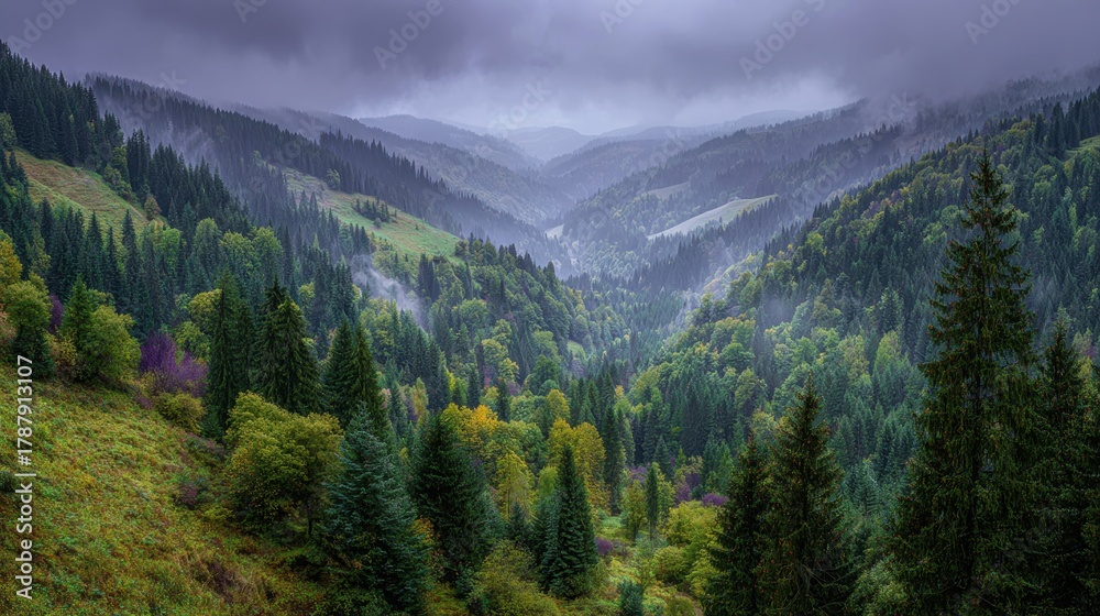 Fototapeta premium Scenery Woods Europe Romania Suceava area