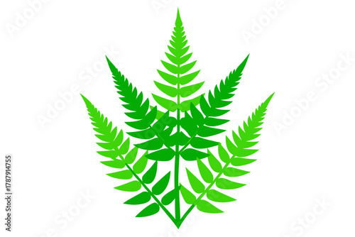 cannabis leaf vector illustration