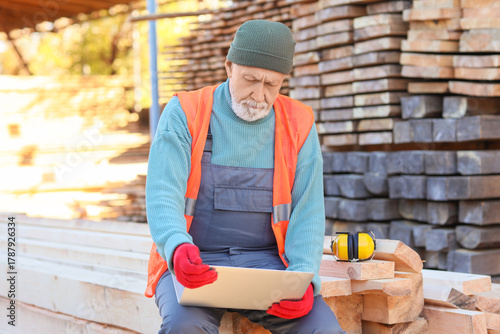 Mature male carpenter with ...