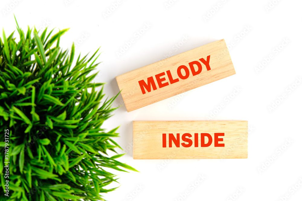 Ταπετσαρία Cleverly arranged wooden blocks boast the words melody and inside, sitting next