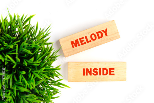 Fotografi Cleverly arranged wooden blocks boast the words melody and inside, sitting next