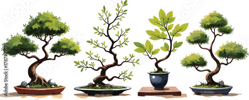 Set of Detailed Bonsai Trees Illustrations in Various Styles and Shapes