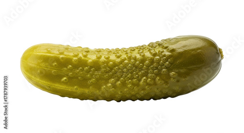 Schilderij op canvas Isolated Pickled Cucumber or Dill Pickle, a Sour, Pickled Cucumber with Bumps on