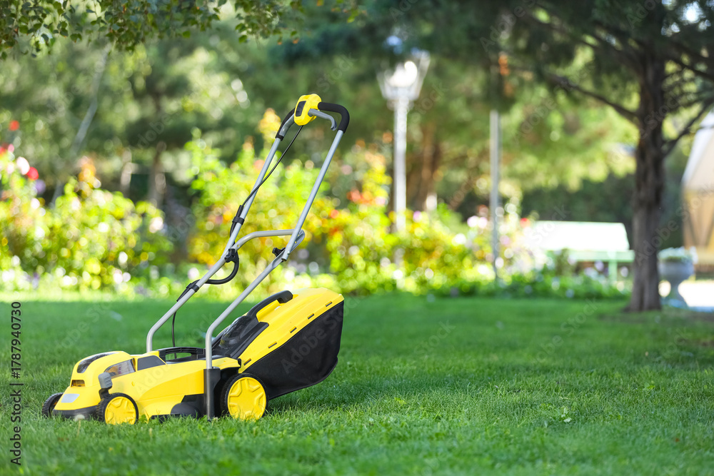 Fototapeta premium Modern lawn mower on green grass outdoors