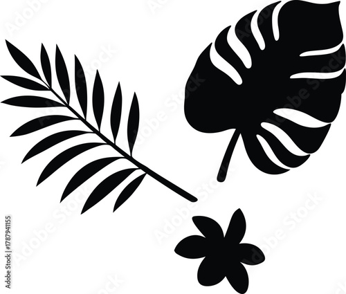 Tropical foliage design with palm frond monstera leaf and flower silhouette