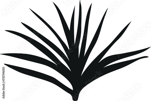 Black silhouette of pineapple plant (Ananas comosus) isolated on white background