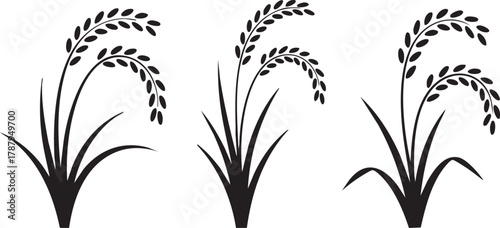 Rice Plant Silhouette — Minimalist Black Vector of Paddy Ears and Leaves for Agriculture Design