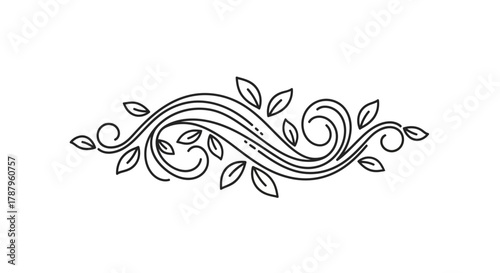 Elegant botanical flourish design, a linear art for decoration, vector illustration and