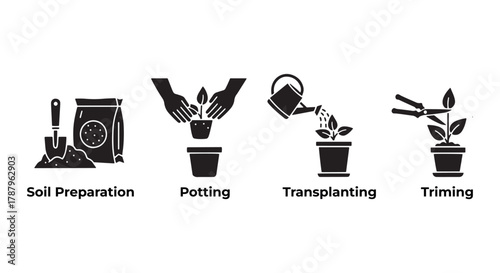 Step-by-step guide to planting and caring for your new green companions soil preparation, potting, transplanting, and trimming