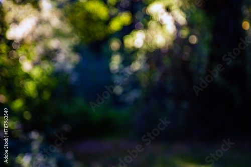 Natural light and colours of a blurred foliage background with bokeh 