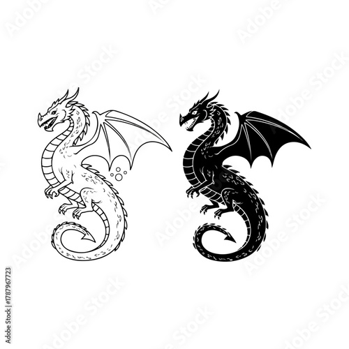 Vector illustration of two fantasy dragons, one outline and one solid black, mythical winged creatures