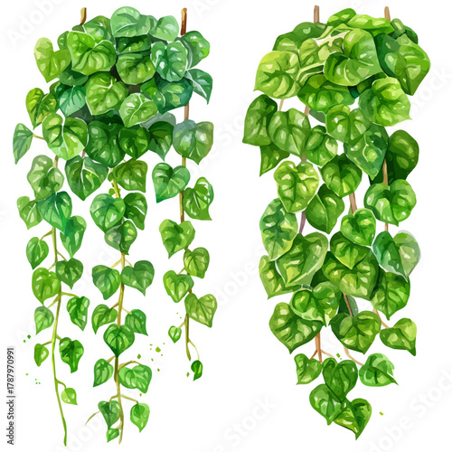 Beautiful Watercolor design, flat hanging willow branch paintings isolated on a white background, illustration, AI painting design, vector set, eps format 2d design