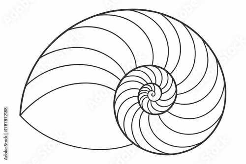 Simple spiral line pattern — hypnotic balanced design, black and white vector texture