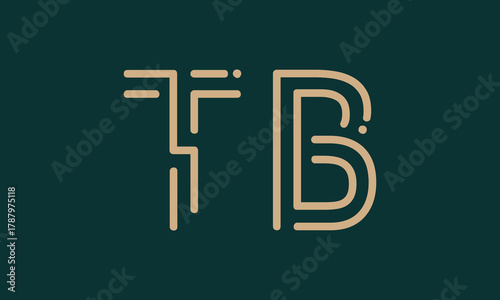 TB T tb initial logo | initial based abstract modern minimal creative logo, vector template image. luxury logotype logo, real estate homie logo. typography logo. initials logo