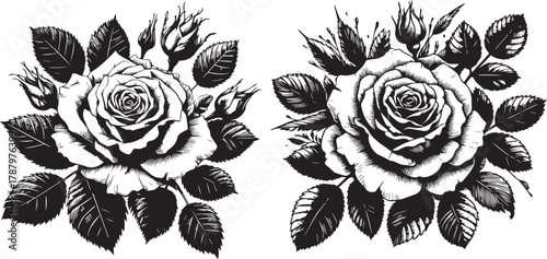 Monochrome sketch of rose vector set