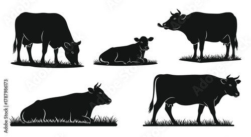 Black silhouettes of cows in various poses against a grassy backdrop