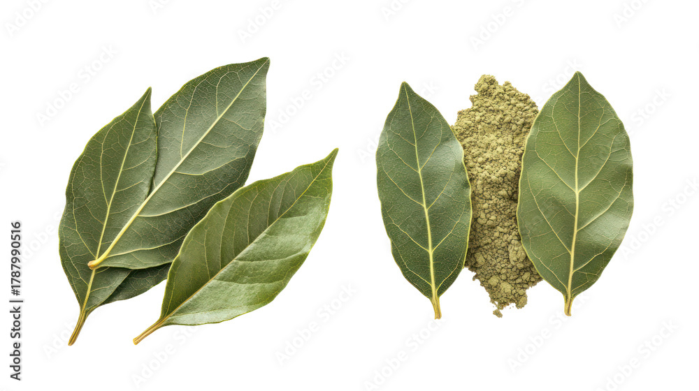 Fototapeta premium Dried bay leaves and cannabis bud isolated on transparent background