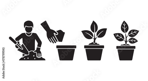Step-by-step illustration showing the process of planting a seed in a pot