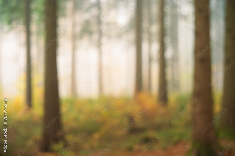 Naklejka premium Blurry, misty, abstract autumn forest background. Wide angle, foggy scene, rising sunlight in the background, no people
