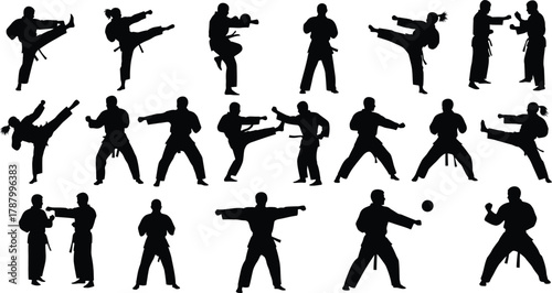 Dynamic Martial Arts Silhouettes Vector Set of Karate Practitioners in Action Poses Kicking Punching and Fighting Stances