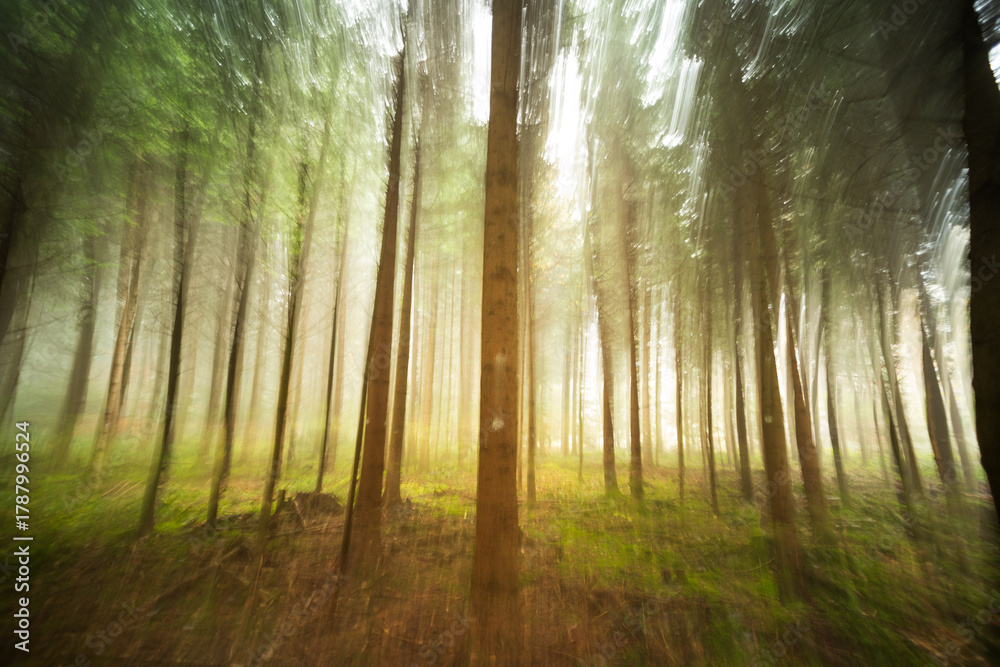 Obraz premium Abstract ultra-wide angle motion blur forest background. Foggy or misty autumn morning, creative intentional camera movement, rising sunlight in the background, no people