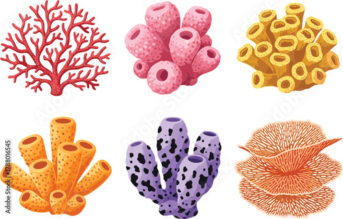 Cartoon coral and sponge illustration, marine life vector, ocean ecosystem, colorful sea creatures, underwater biology, reef elements, educational design, flat lay, stylized nature
