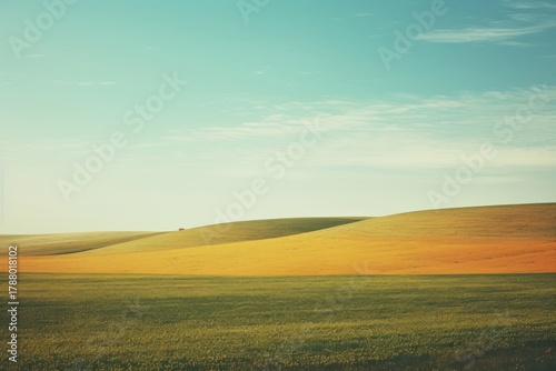 A minimal-large grassland landscape outdoors horizon.