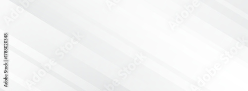 Abstract Shadow. blurred background. gray leaves that reflect concrete walls on a white wall surface for blurred backgrounds and monochrome wallpapers.