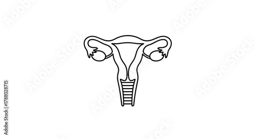 Female Reproductive System Anatomy Illustration in Black and White.