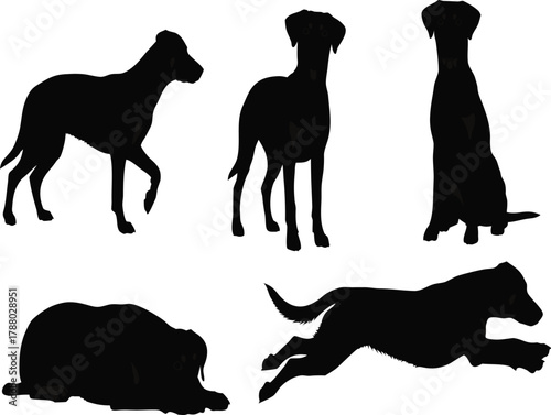 Black Dog Silhouettes in Various Poses on White Background