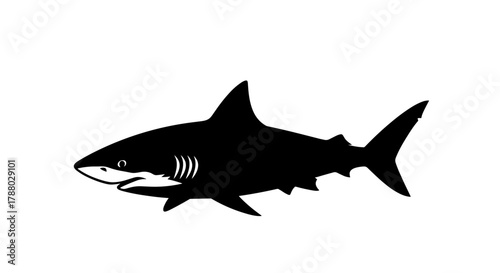 Silhouette of a Great White Shark Swimming.