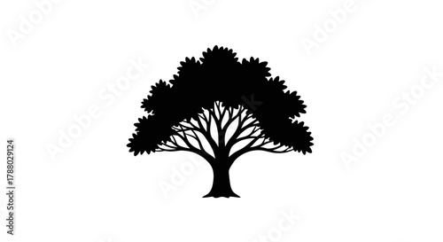 Silhouette of a large oak tree with a full canopy of leaves.