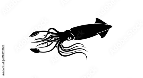 Silhouette of a Squid with Tentacles.