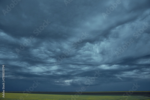 Cumulonimbus asperitas storm clouds with rapeseed in the background